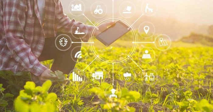 Bailliot Domaine Agricole agriculture